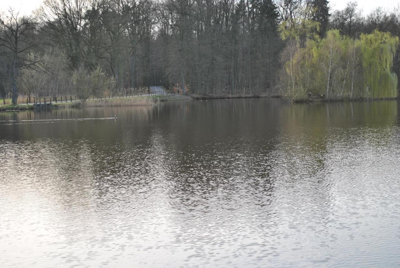 Apartament Am Mariental 11 Hankensbuttel Zewnętrze zdjęcie