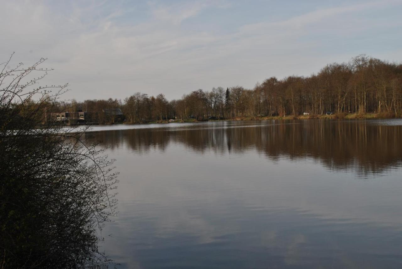 Apartament Am Mariental 11 Hankensbuttel Zewnętrze zdjęcie